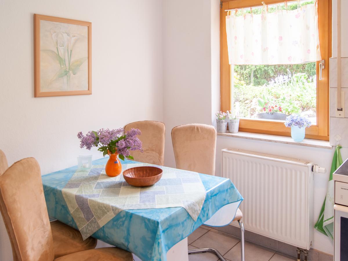 Ueber Den Daechern Von Apartament Drezno